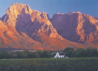 Winelands1