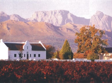 Winelands2