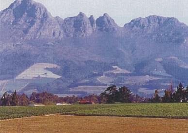 Winelands3